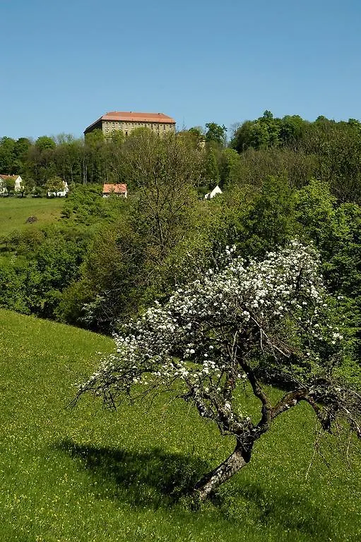 Gasthof Adler Schillingsfürst Herberg